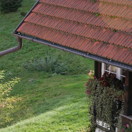 Schwarzwald Buchenhof Villa Zell am Harmersbach Buitenkant foto