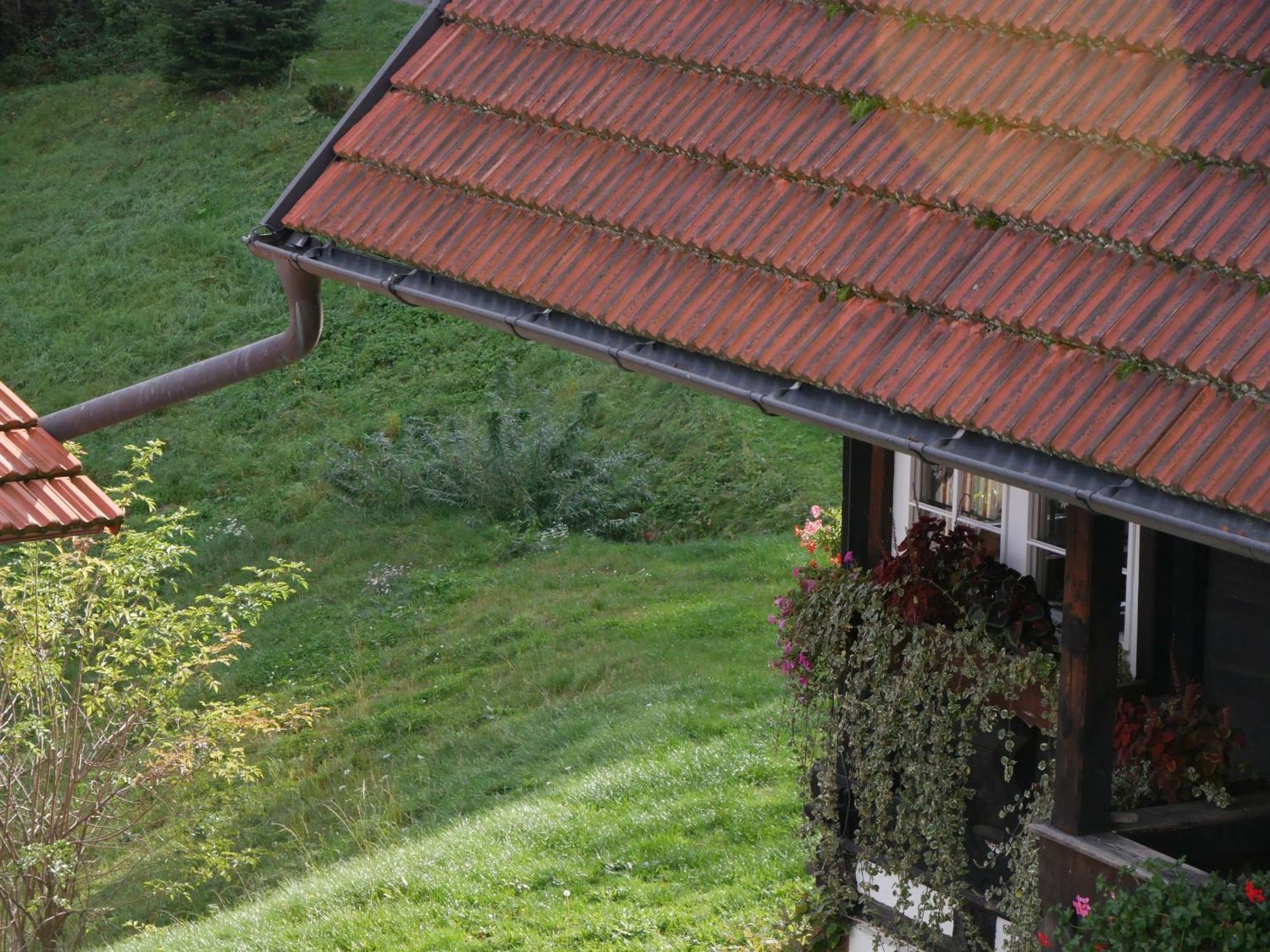 Schwarzwald Buchenhof Villa Zell am Harmersbach Buitenkant foto