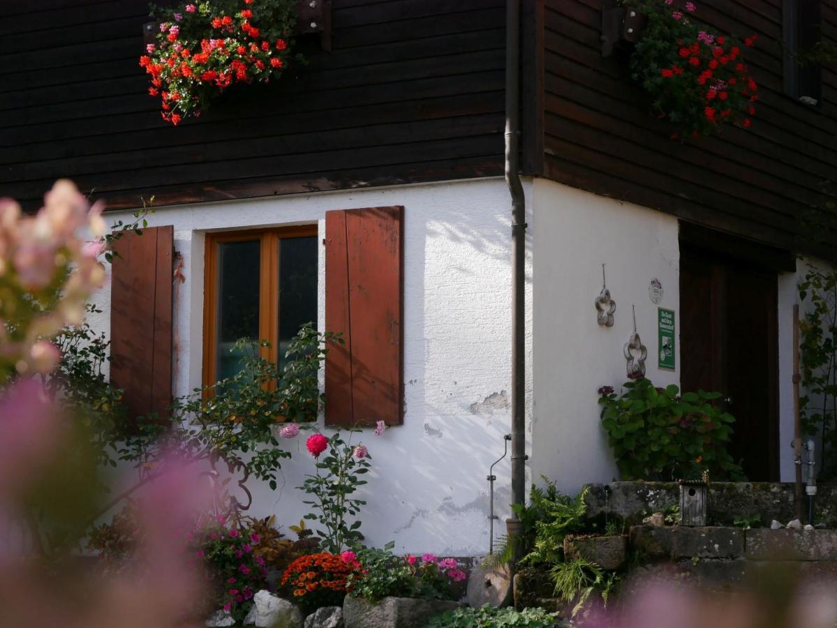 Buchenhof Villa Zell am Harmersbach Buitenkant foto