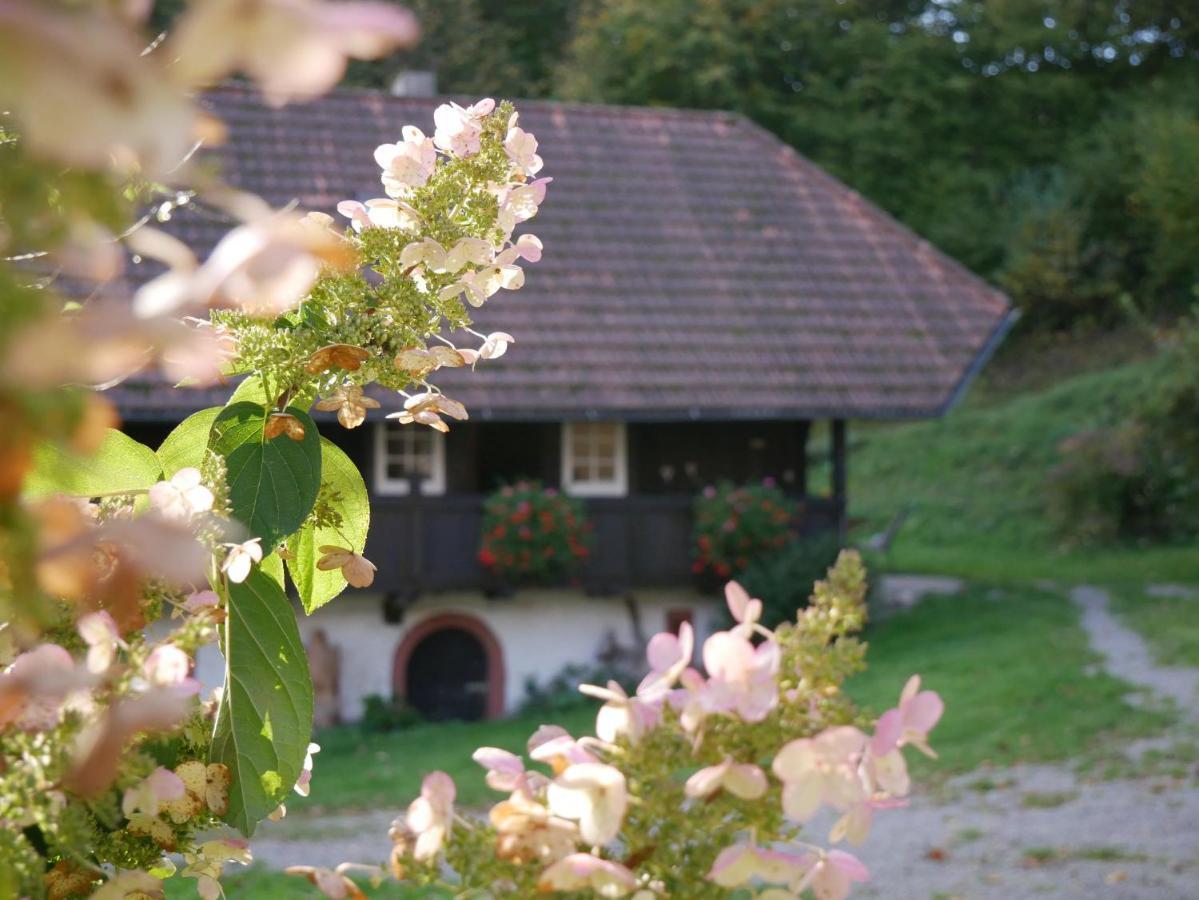 Buchenhof Villa Zell am Harmersbach Buitenkant foto