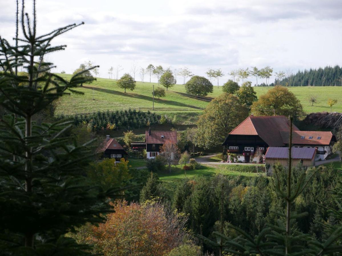 Buchenhof Villa Zell am Harmersbach Buitenkant foto